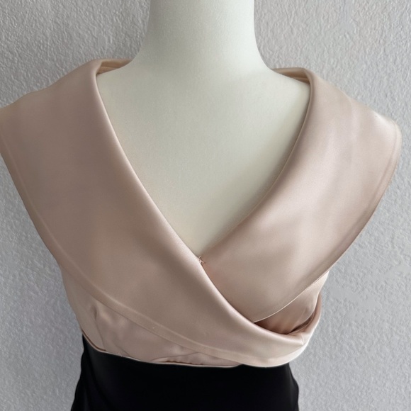 Jones New York Black and Nude Dress - Picture 2 of 8